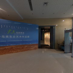 入口