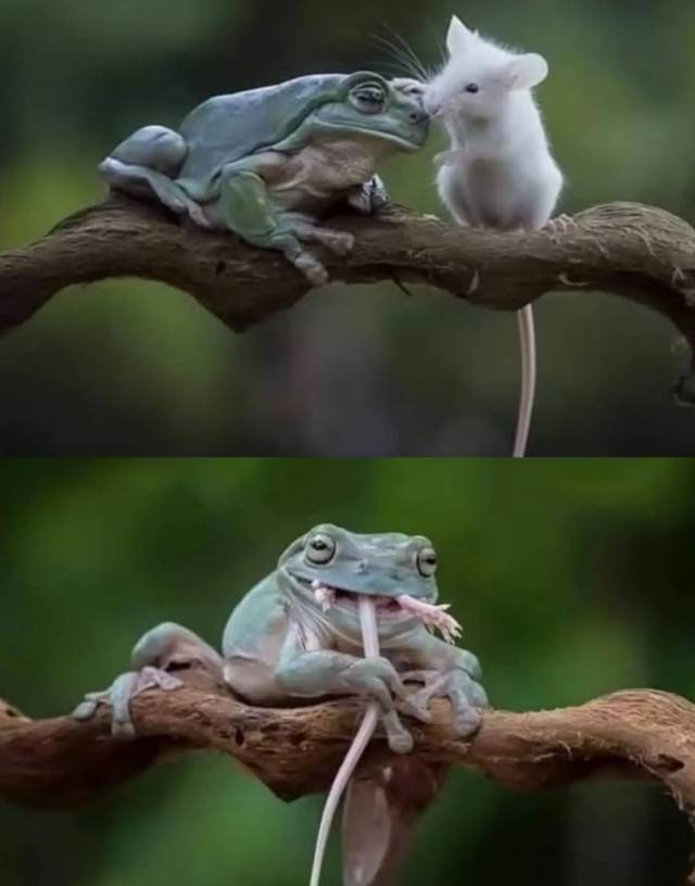 为什么我们要提防那些突如其来的好