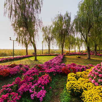2022年武汉江滩第39届菊展的一个场景