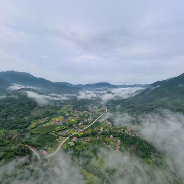 賀州昭平縣故鄉茶博園