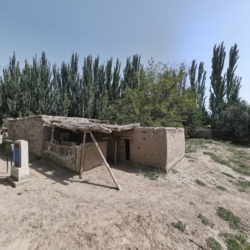 新疆莎车乡村VR风景