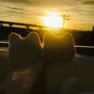 豆豆收纳所所长