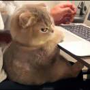 和天下装饰小周