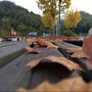 ღ᭄ꦿ &deg; 清风与酒এ⁵&sup2;&ordm;᭄এ