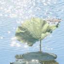 Sparkคิดถึง